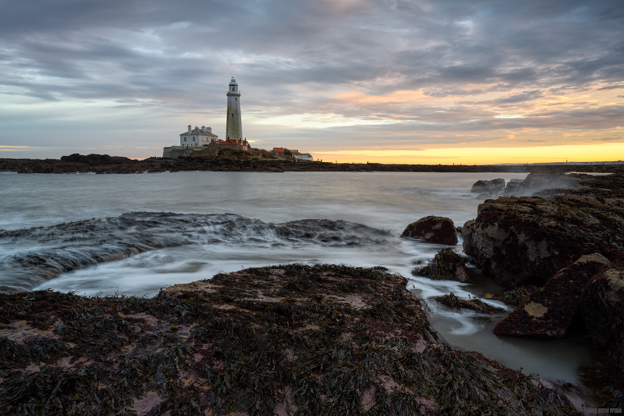 Standing Against The Tide