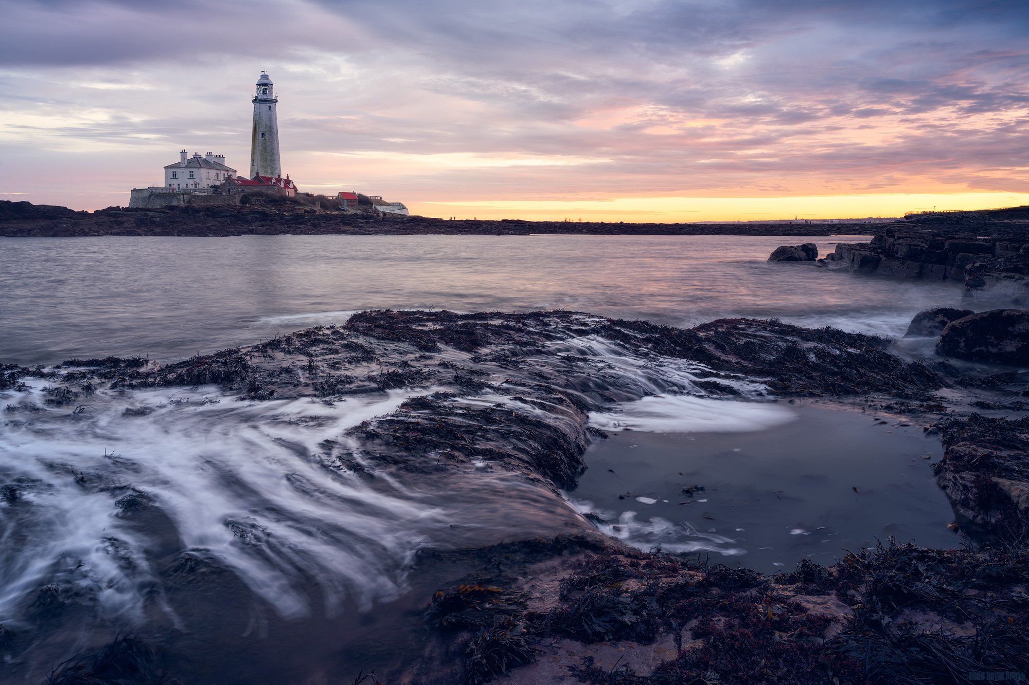 Reaching Up From The Deep