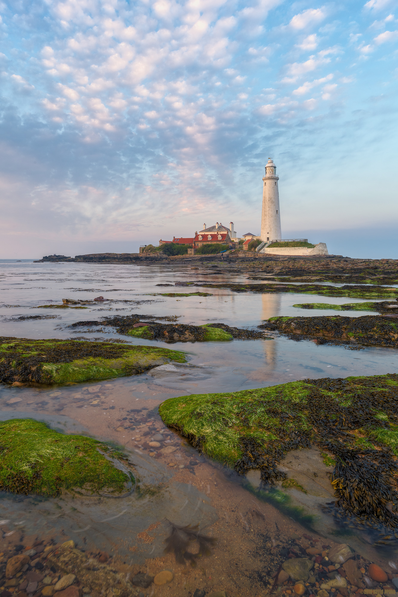 The Tide Rises and The Tide Falls