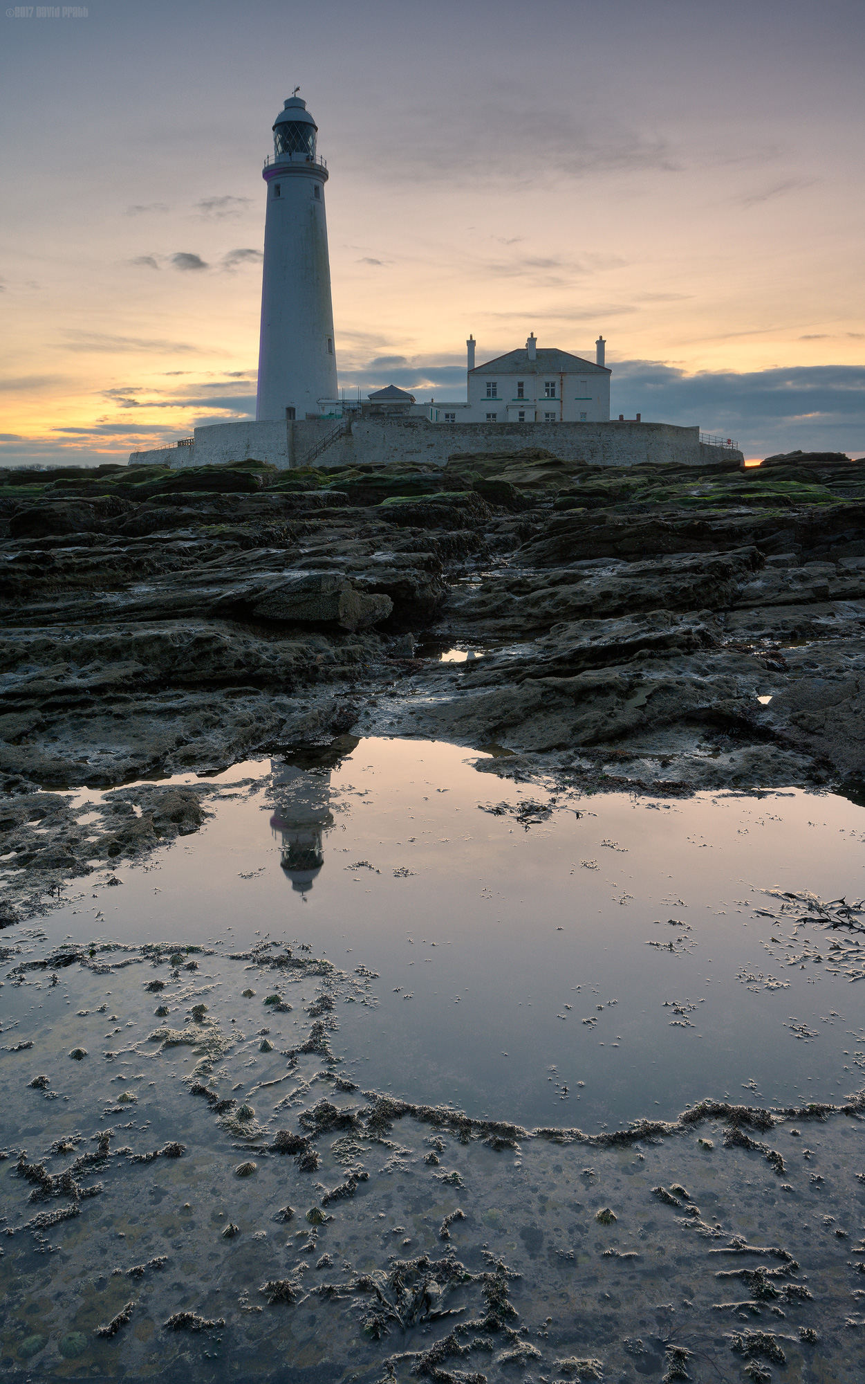 My Own Private Idaho