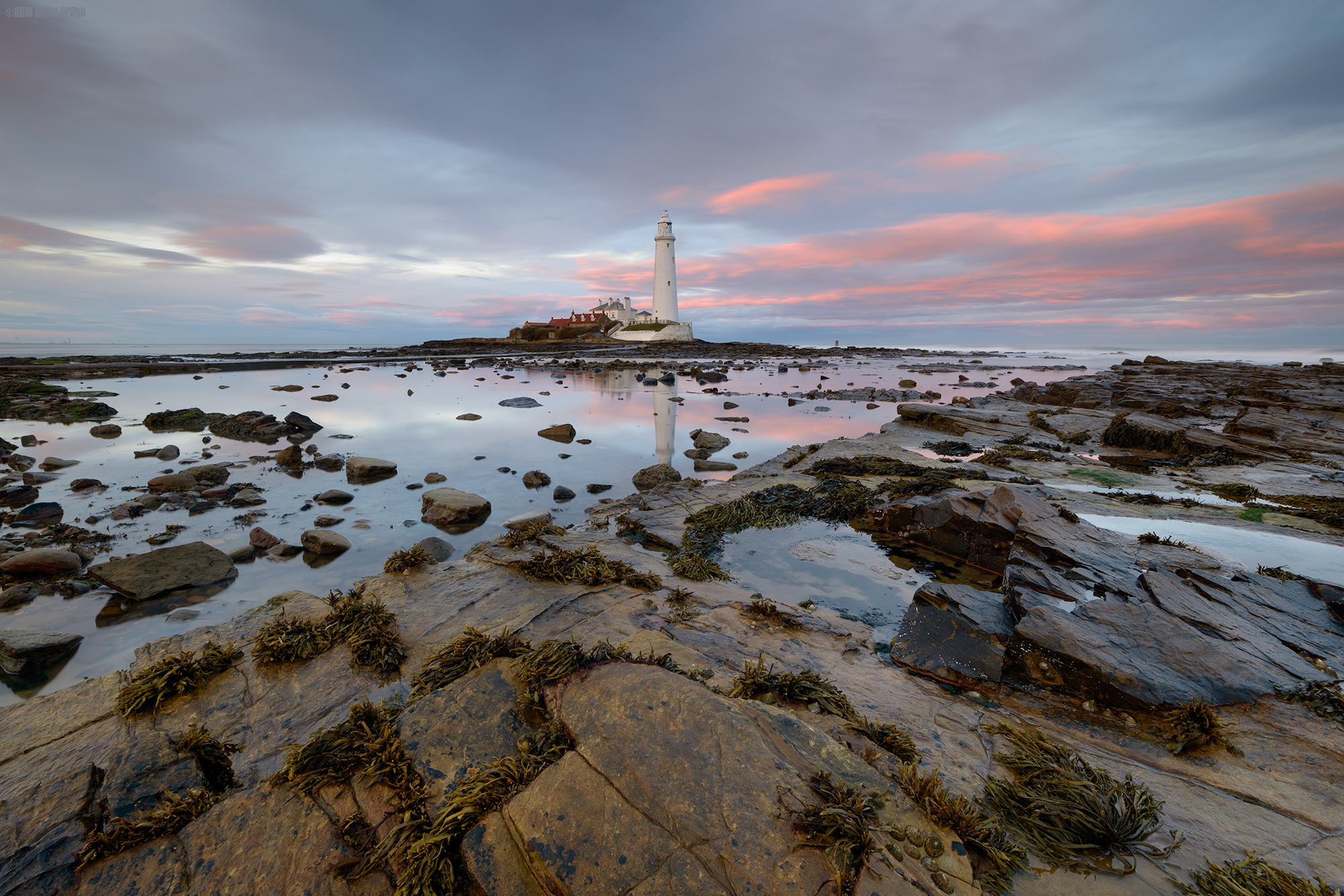 Mary, Mary, Quite Contrary