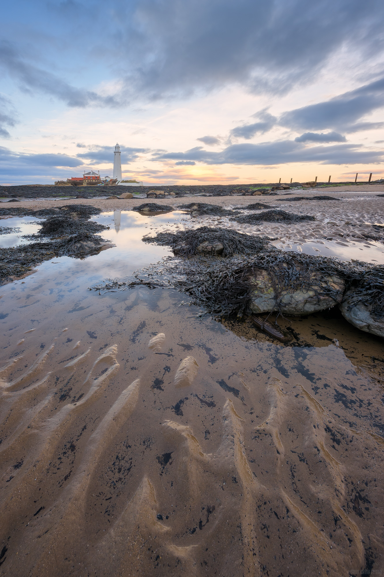 My Own Private Paradise