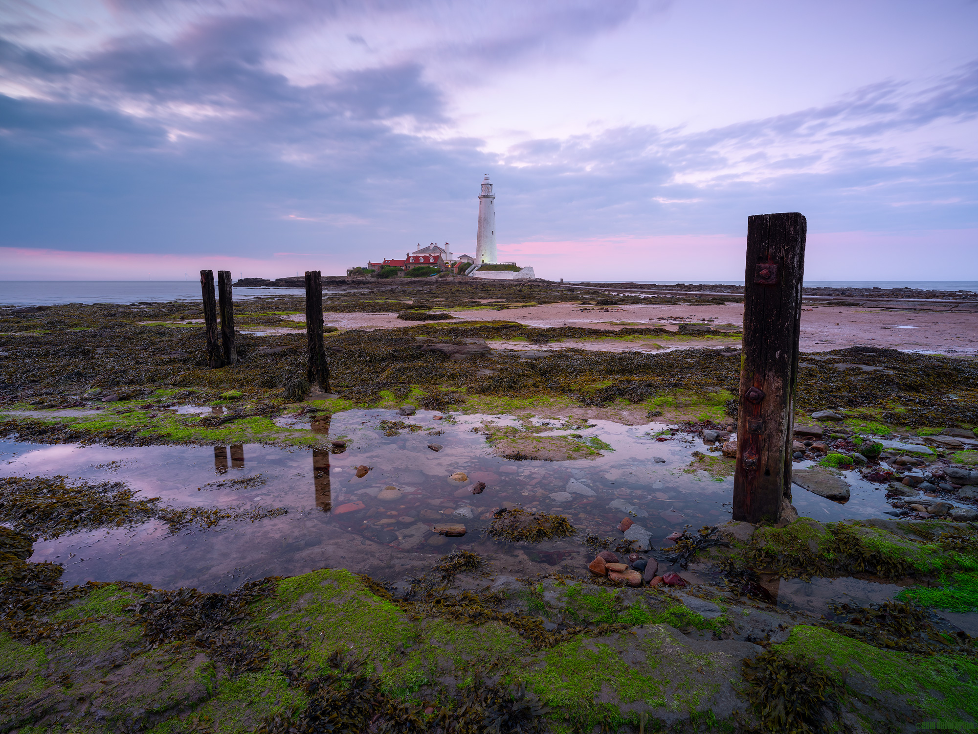 Green Around The Groynes