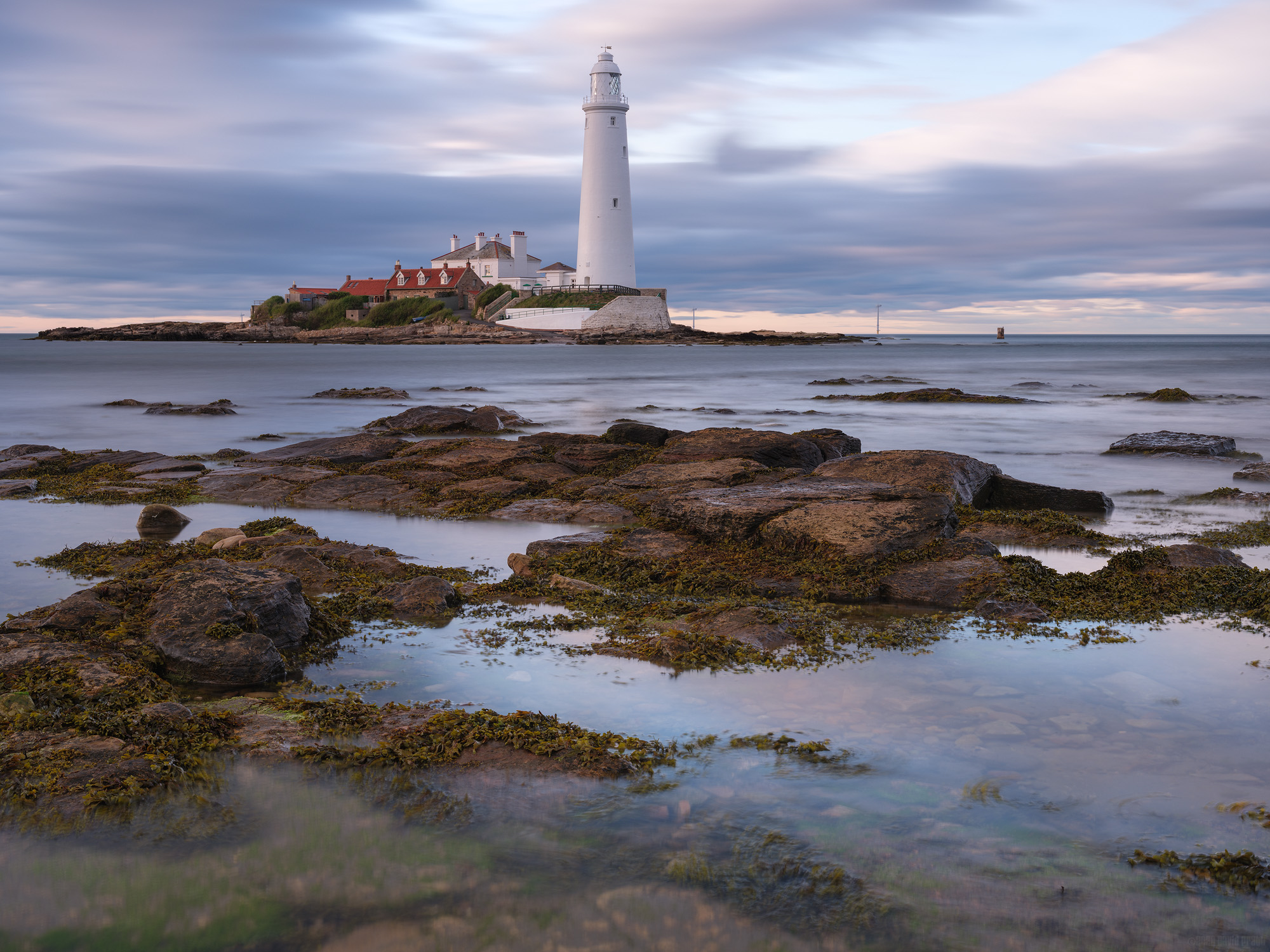 Standing Tall and Proud