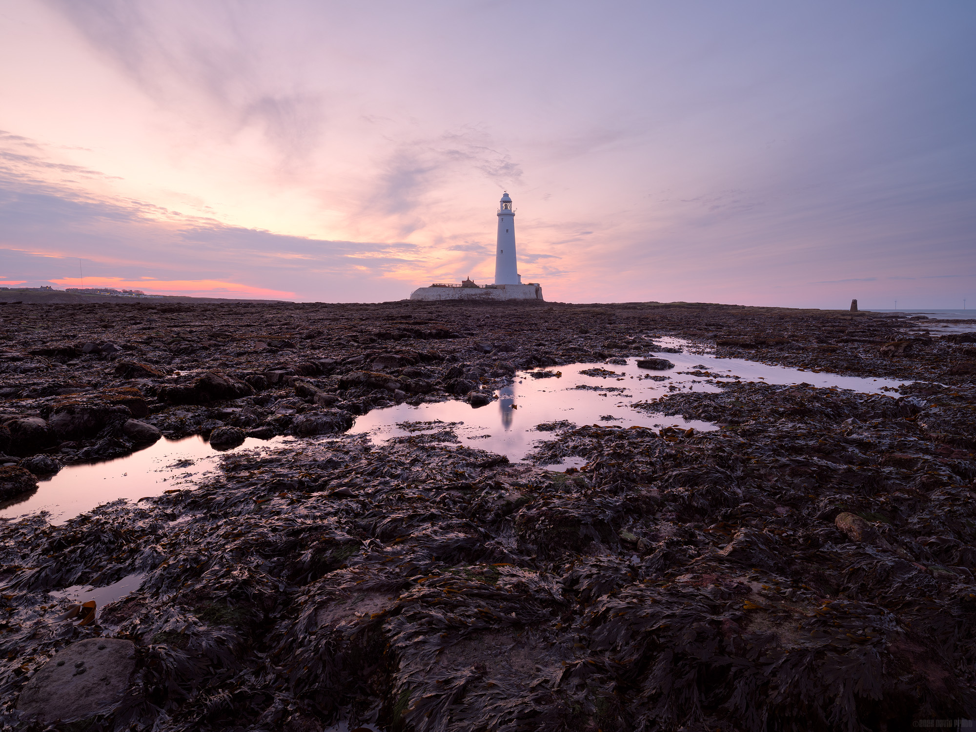 The Last Breath Of Dusk