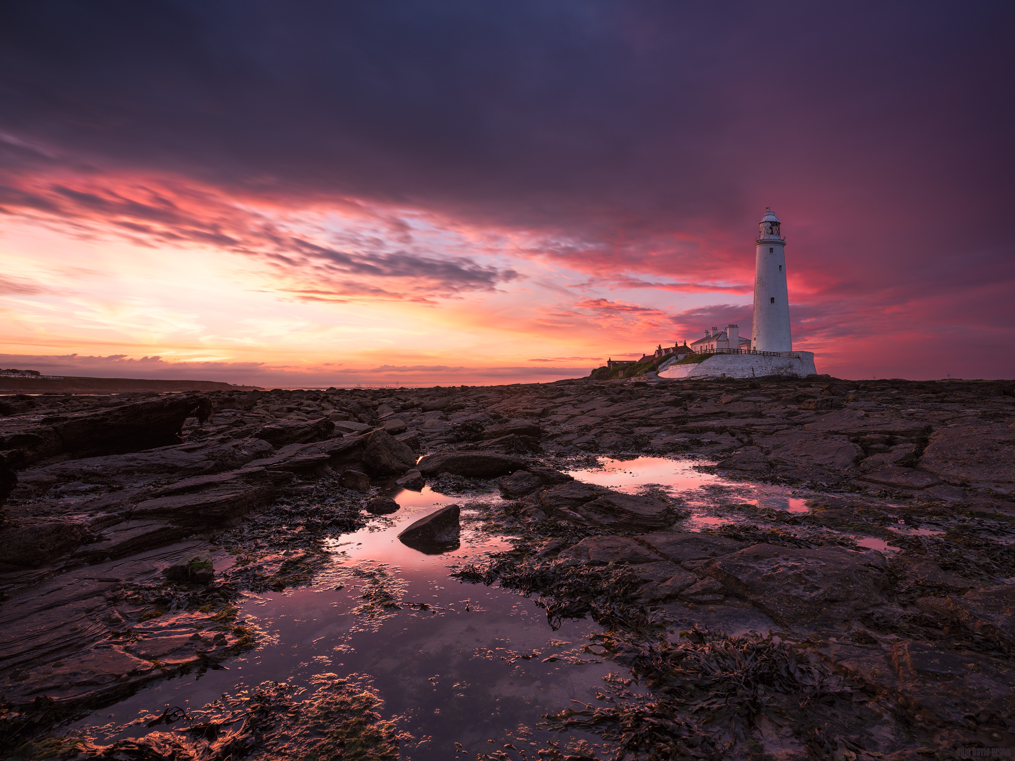 The Remains Of The Day