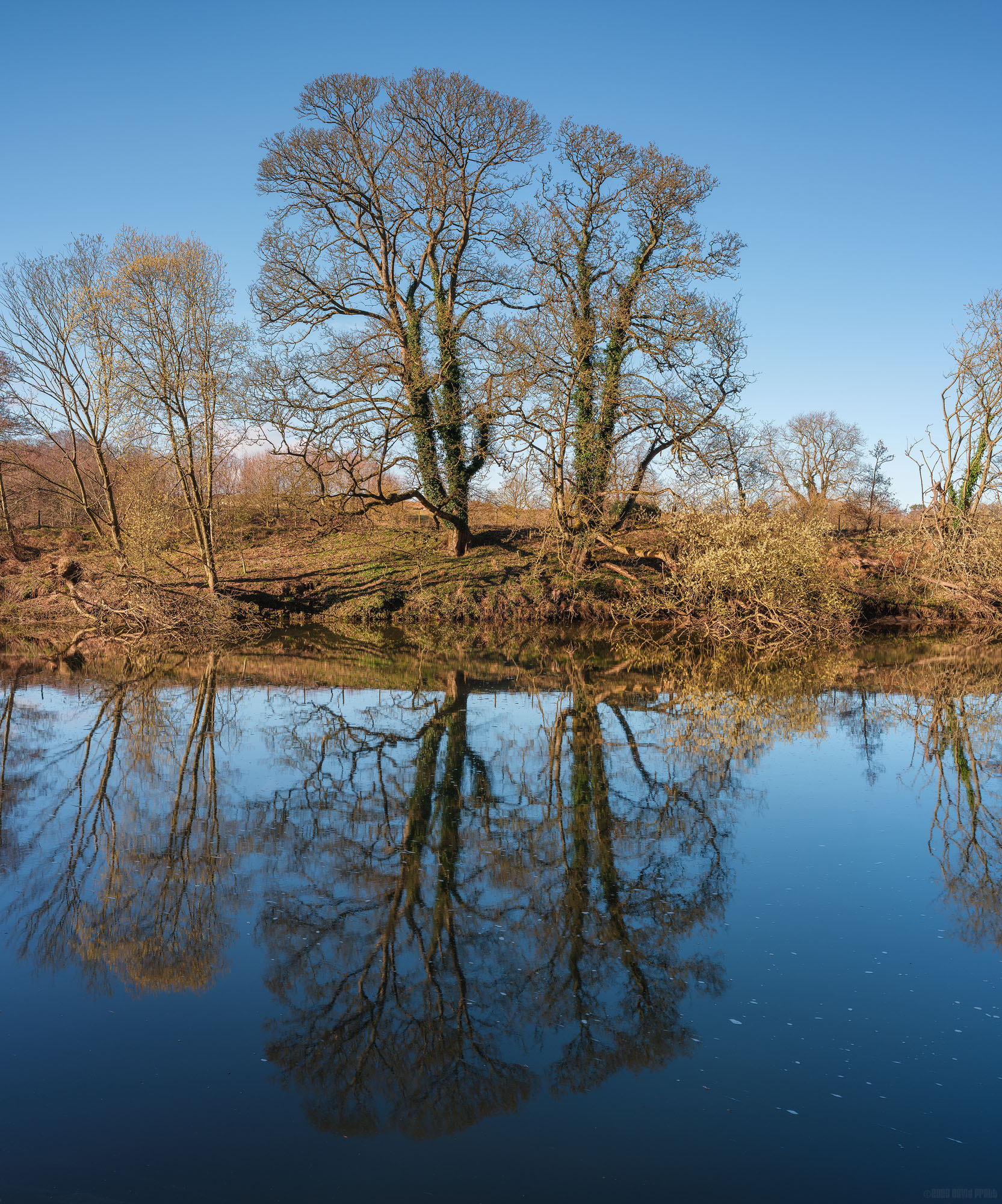 Reflections In The Coquet
