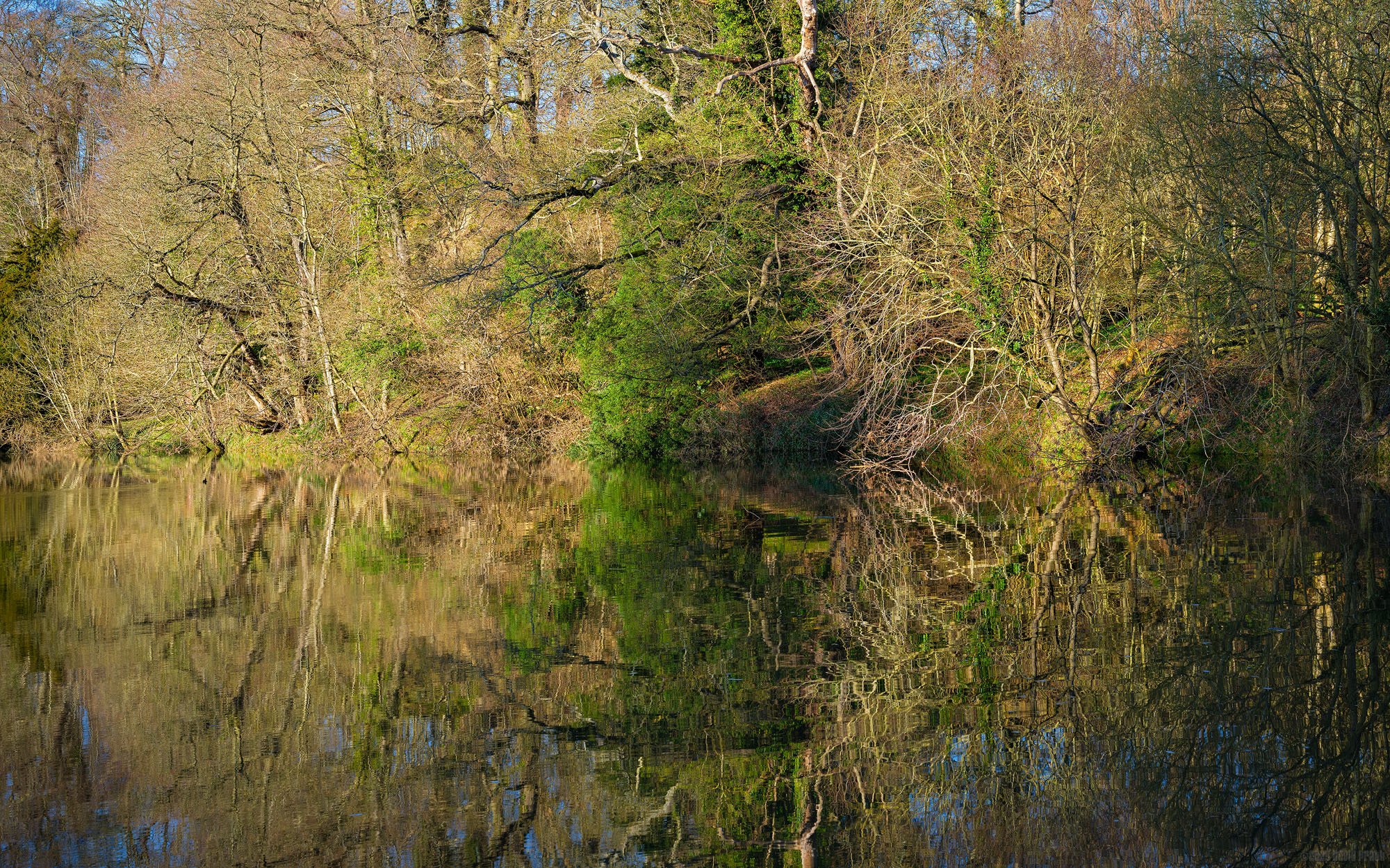 A Whisper Of Reflections