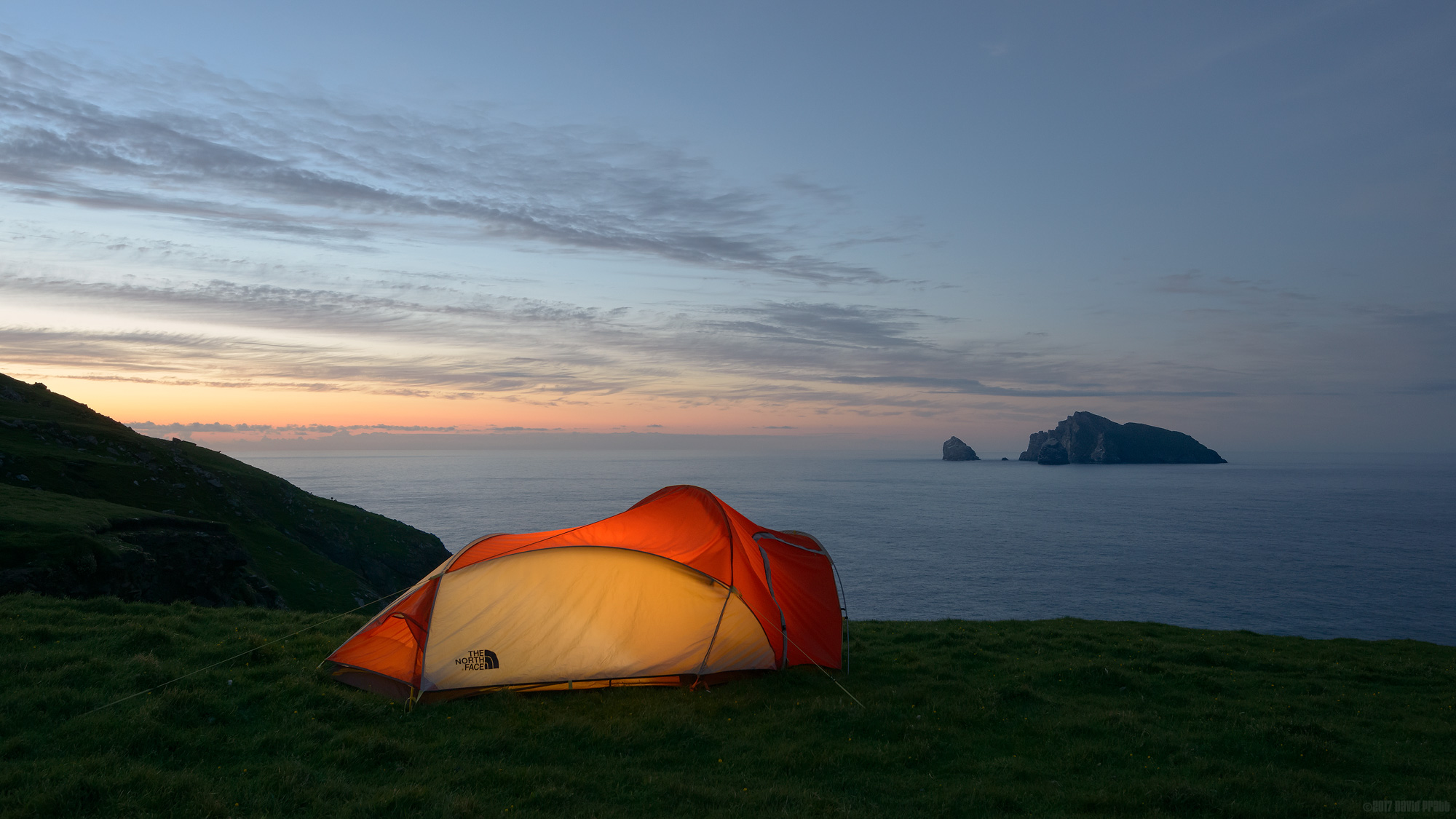 One Night In The Wild