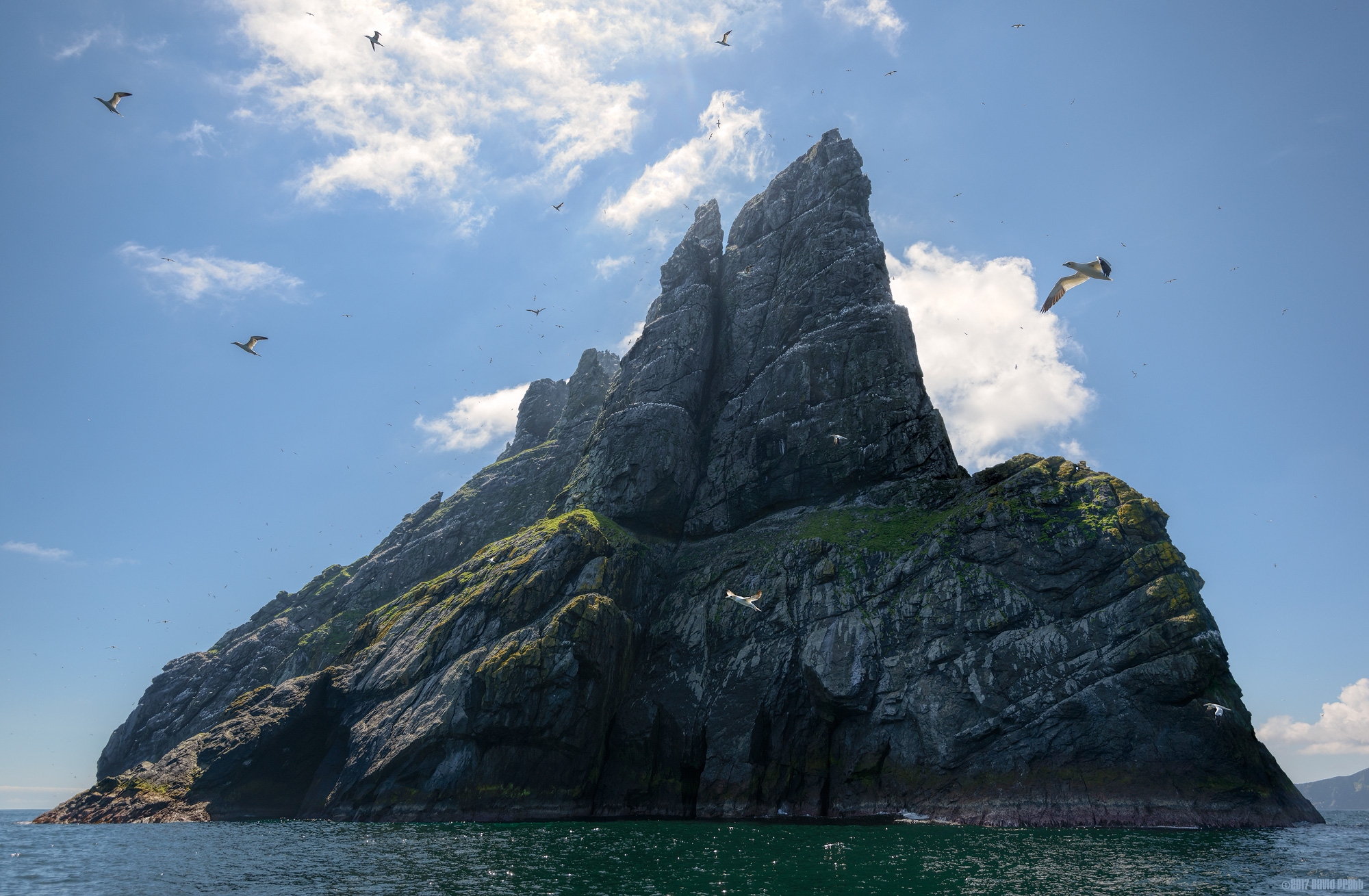 Gearrgeodha, Boreray