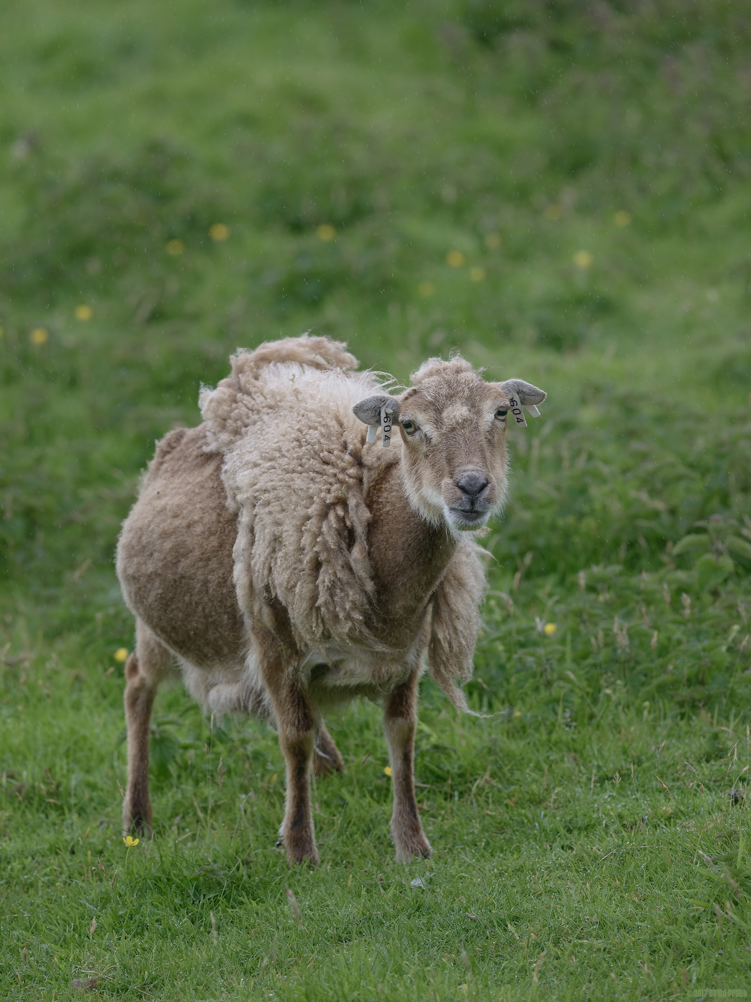 No, This Isn't The Haircut I Asked For