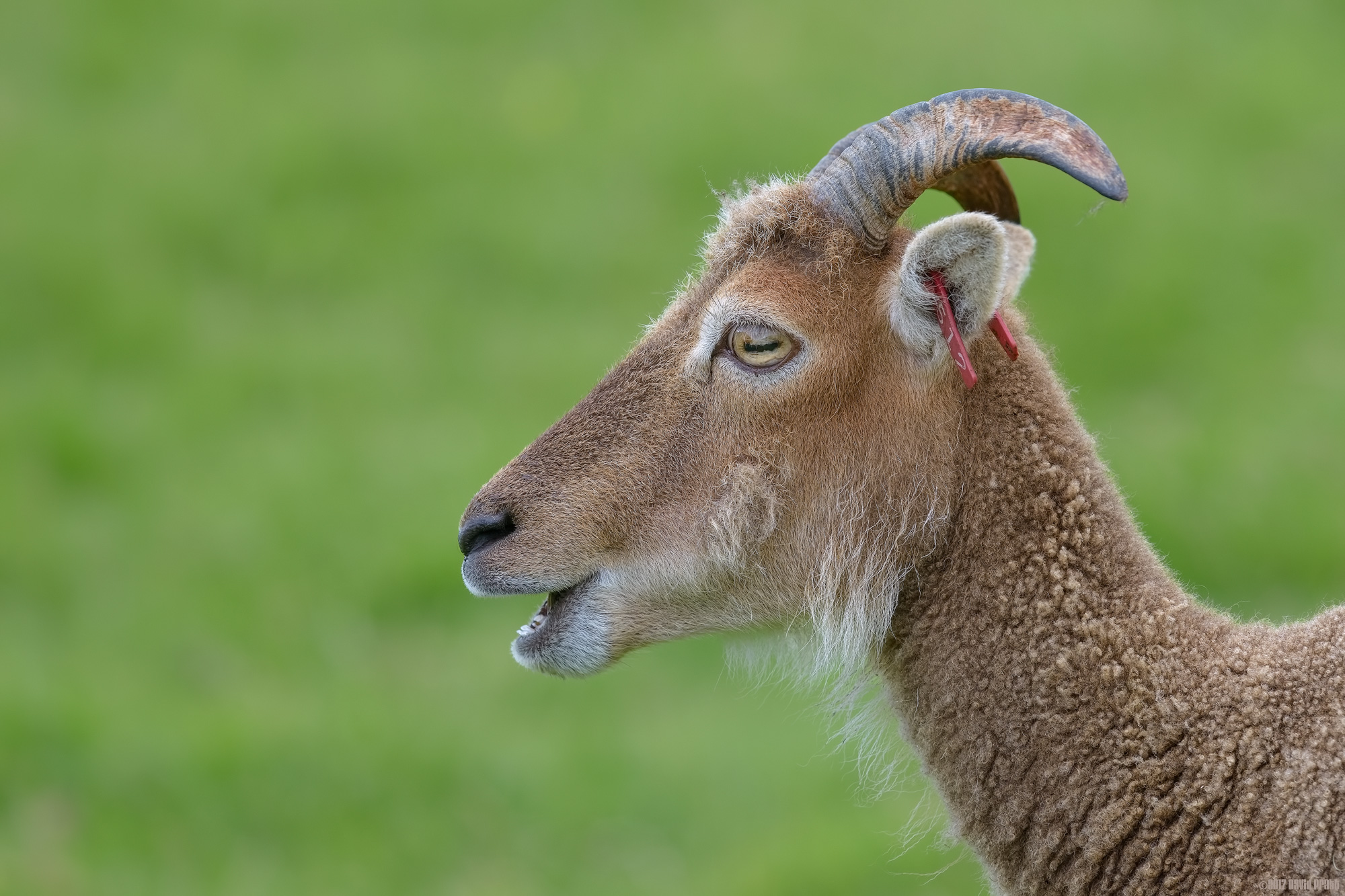 Check Out My Whiskers