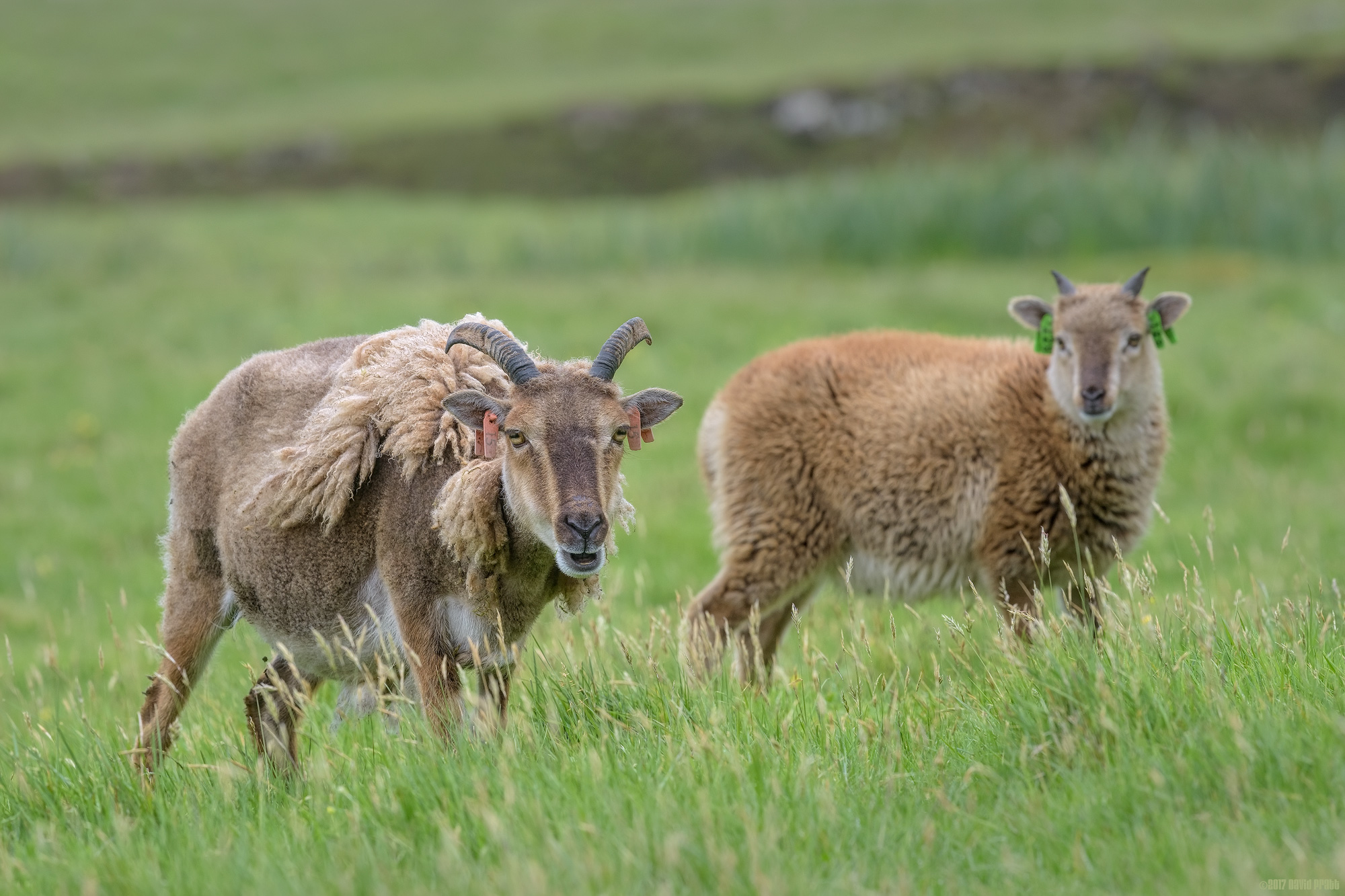 It Takes Years Of Practice To Look This Good