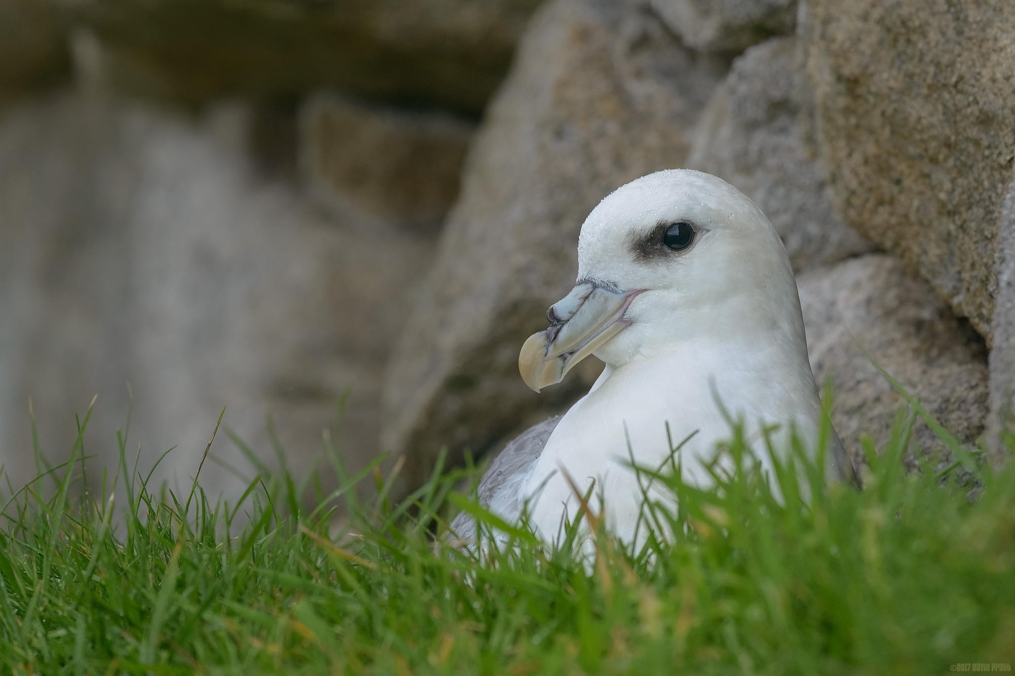Sheltering From The Rain