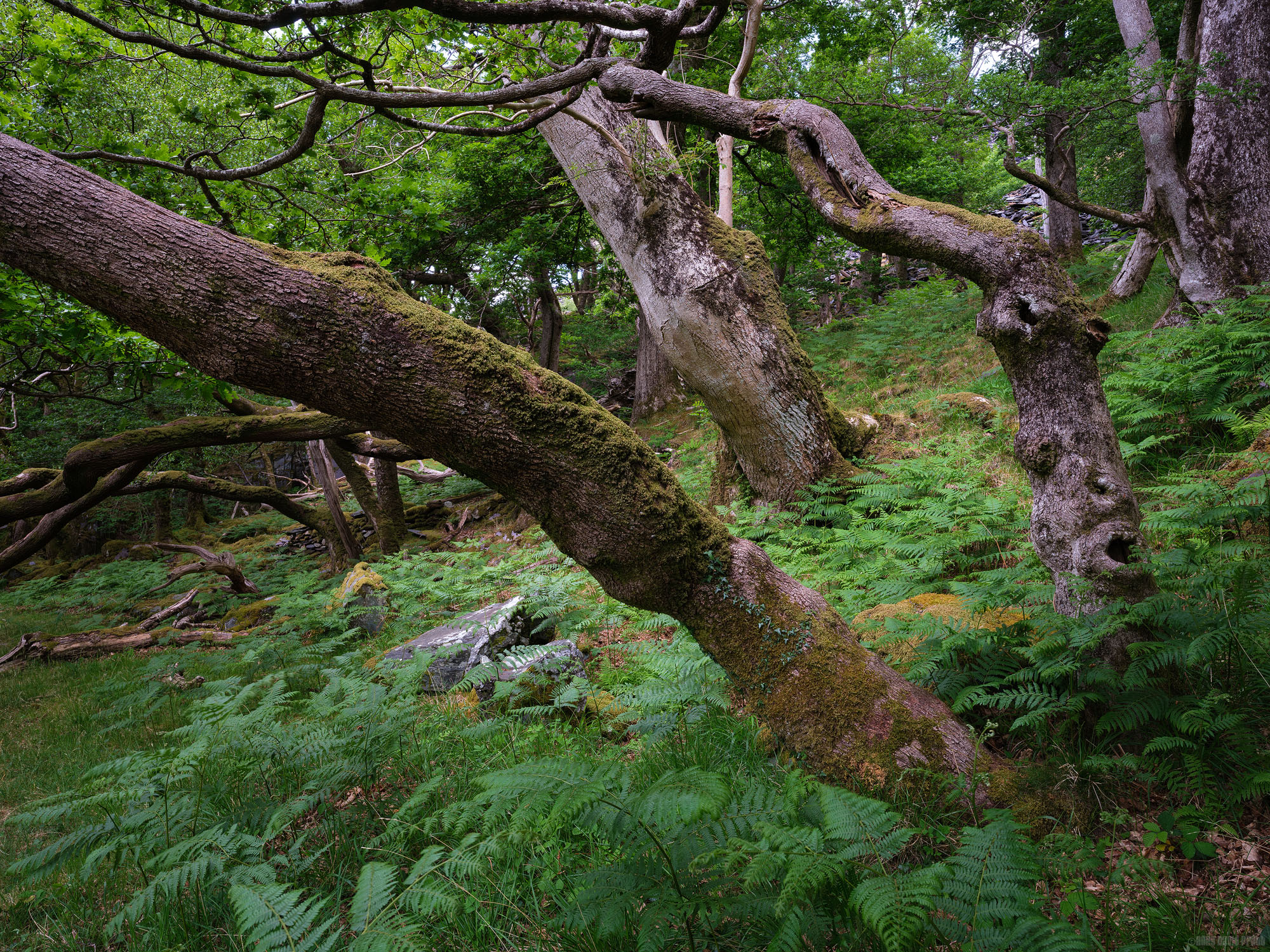 Away From The Quarry Face
