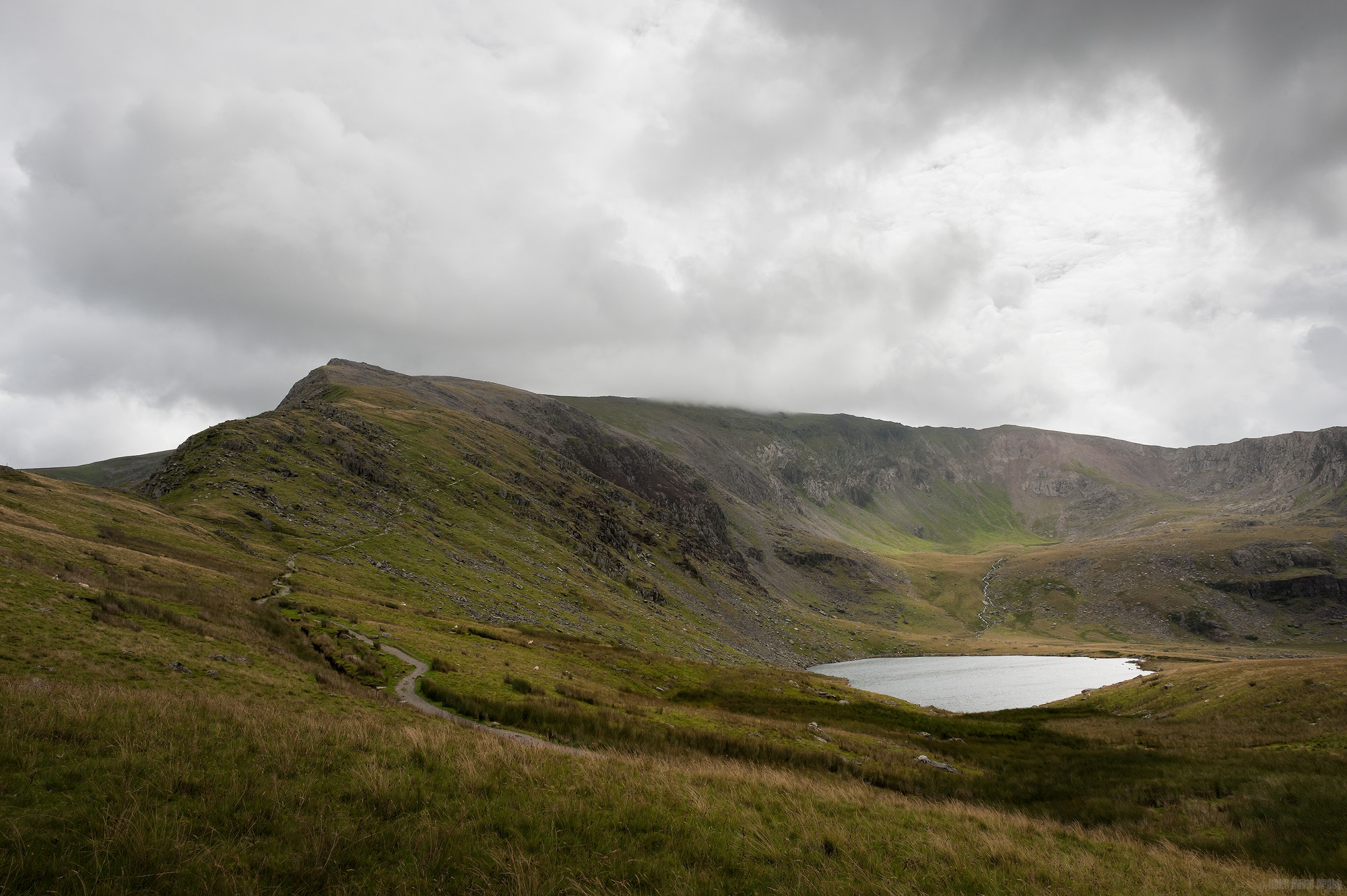 Llyn Ffynnon-y-gwas