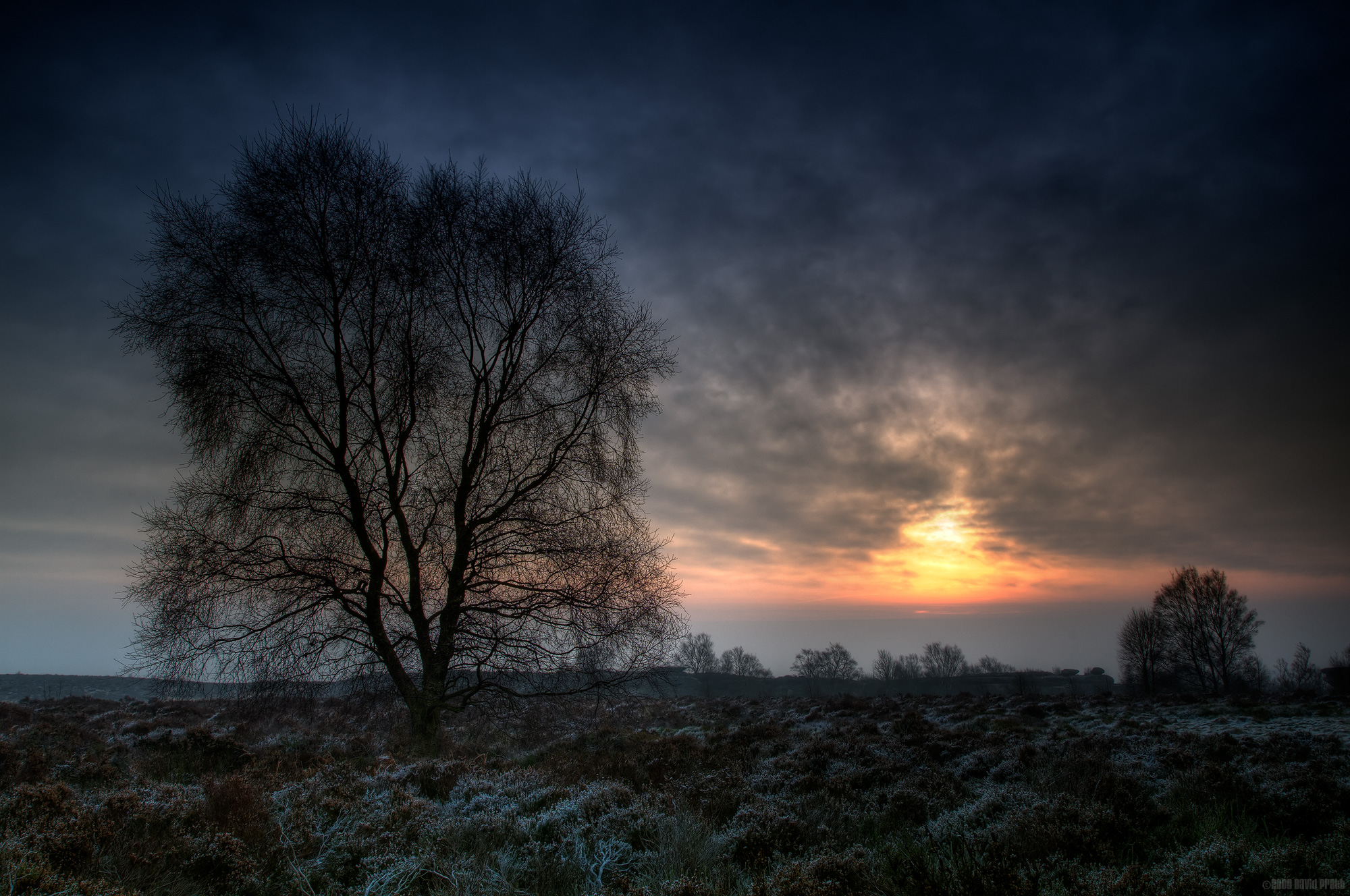 On A Cold And Frosty Morning