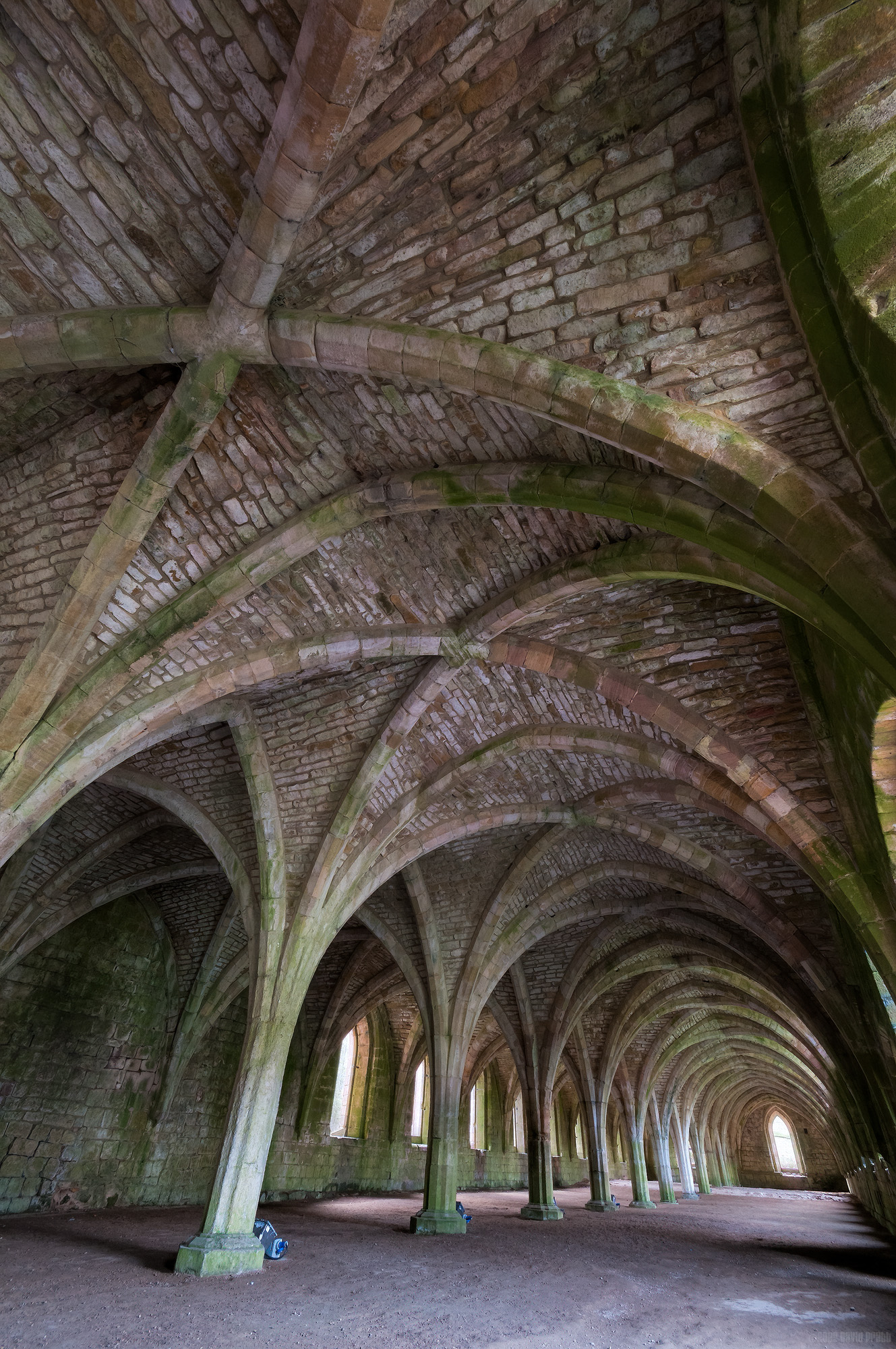 Vaulted Ceilings