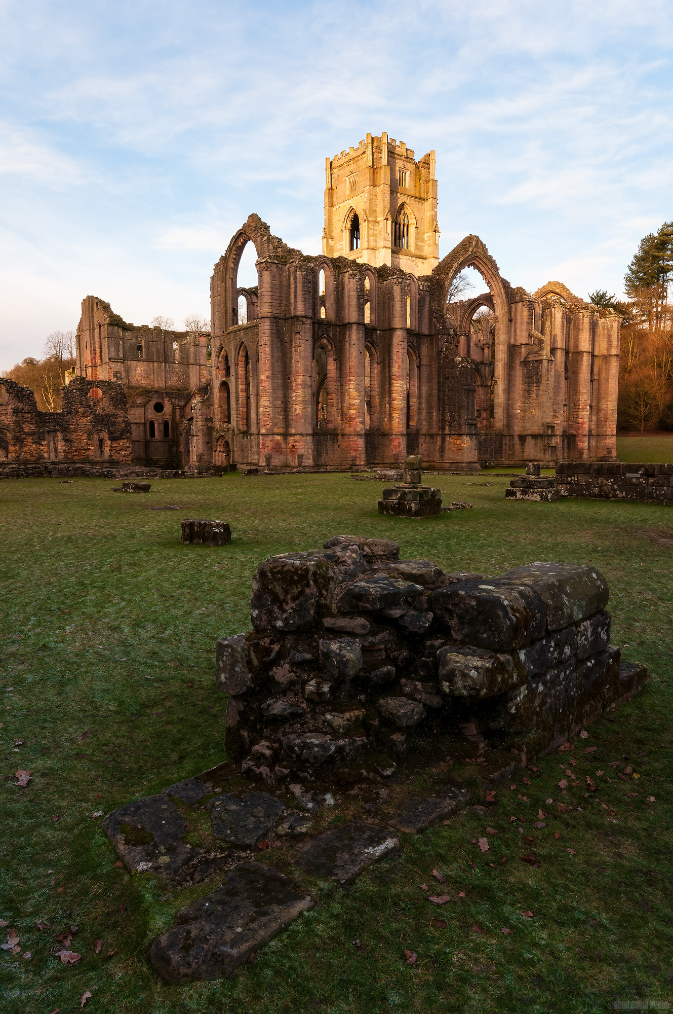 Towering Over The Ruins