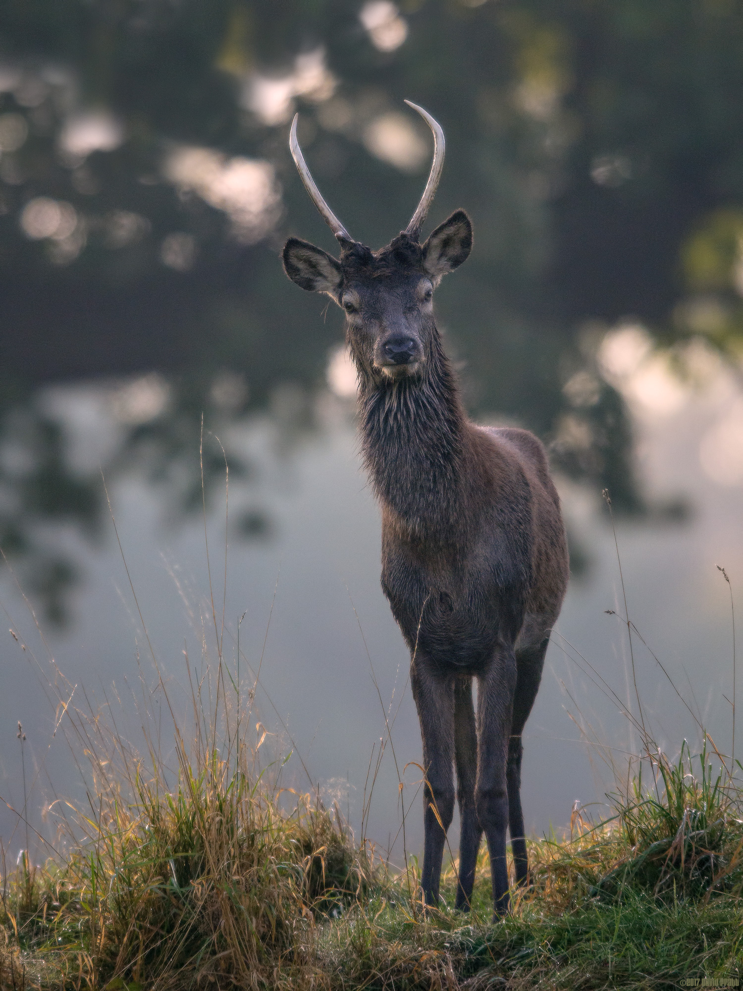 Unexpected Encounter