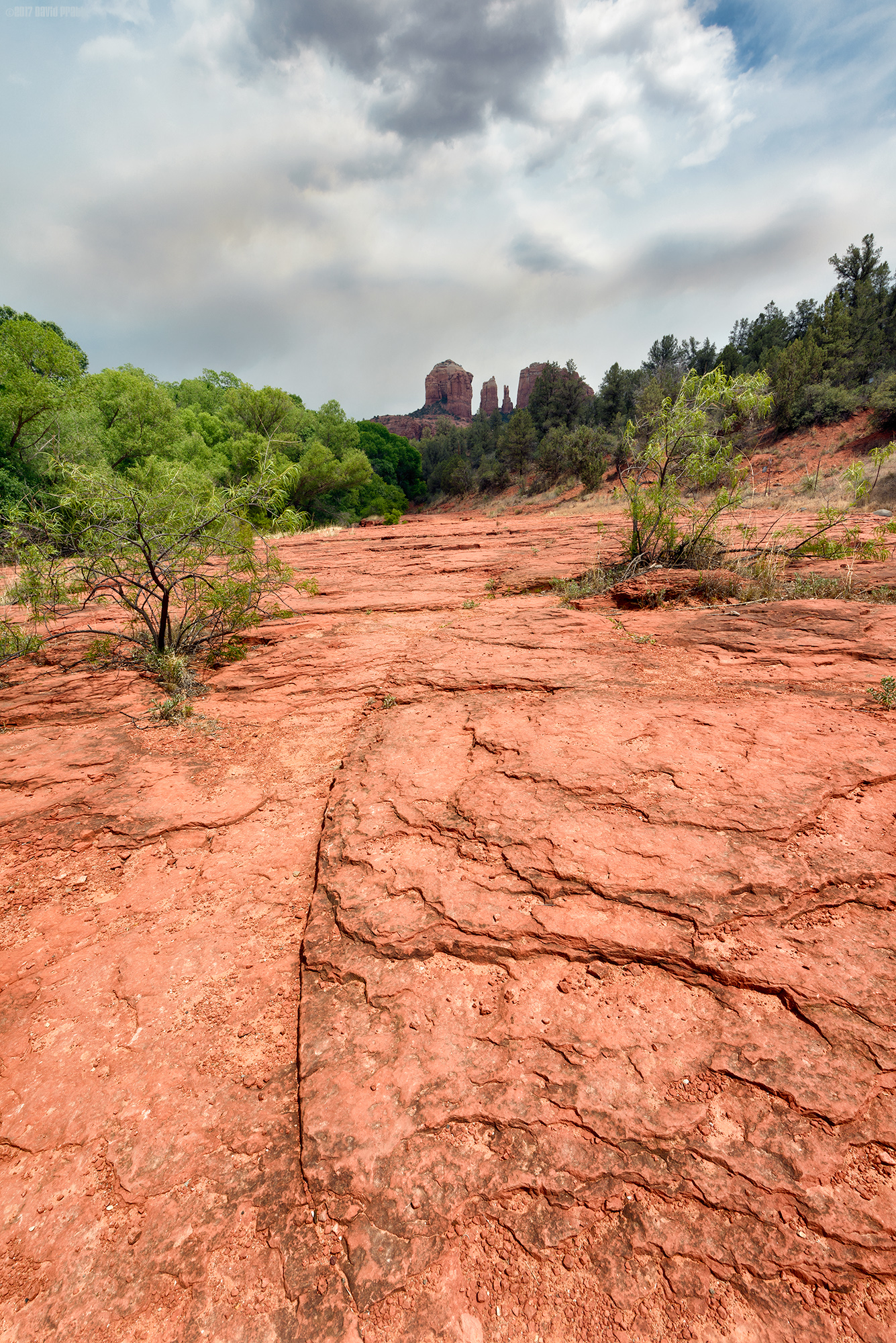 Cathedral Rock