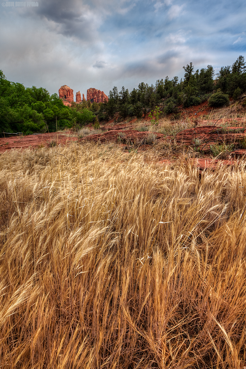 Sunshine And Sandstone