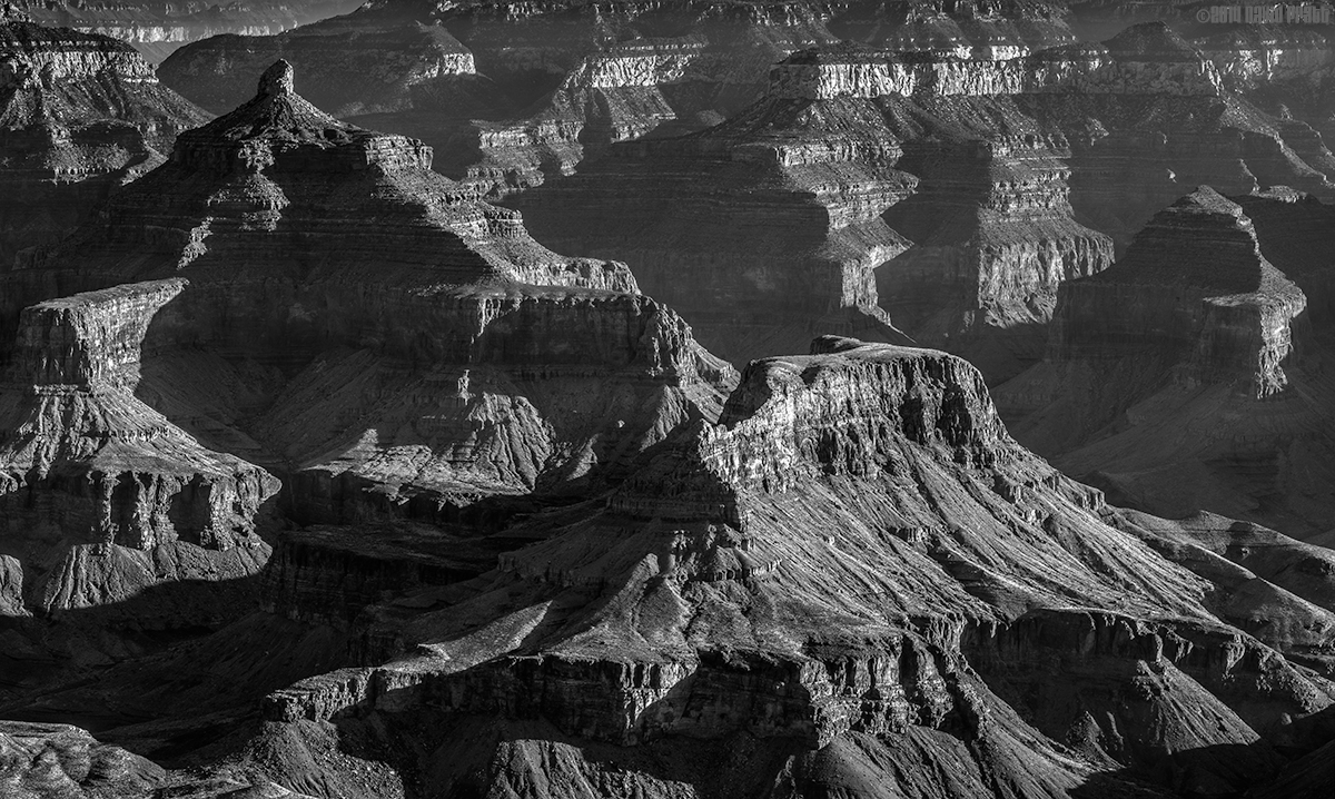 No Light Without Dark