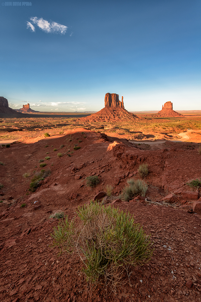 The Evening Draws In