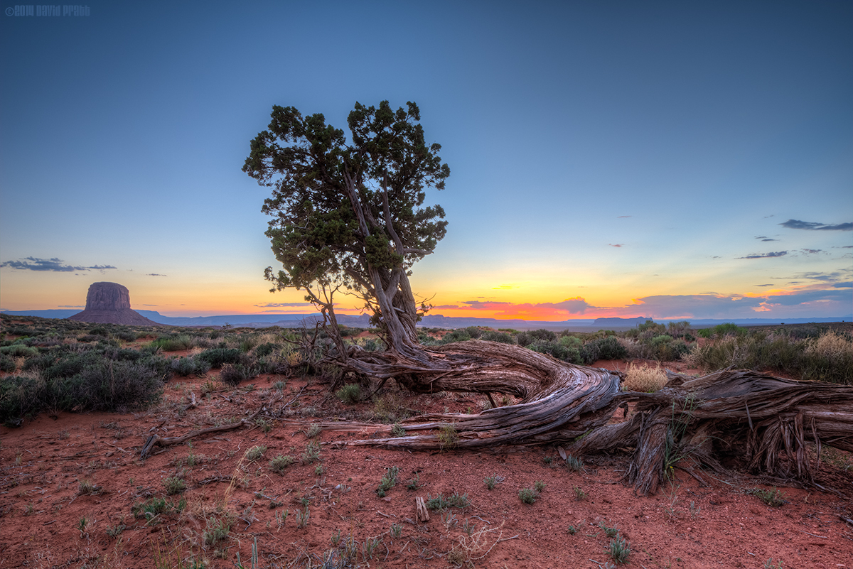 Sunset On The Fallen