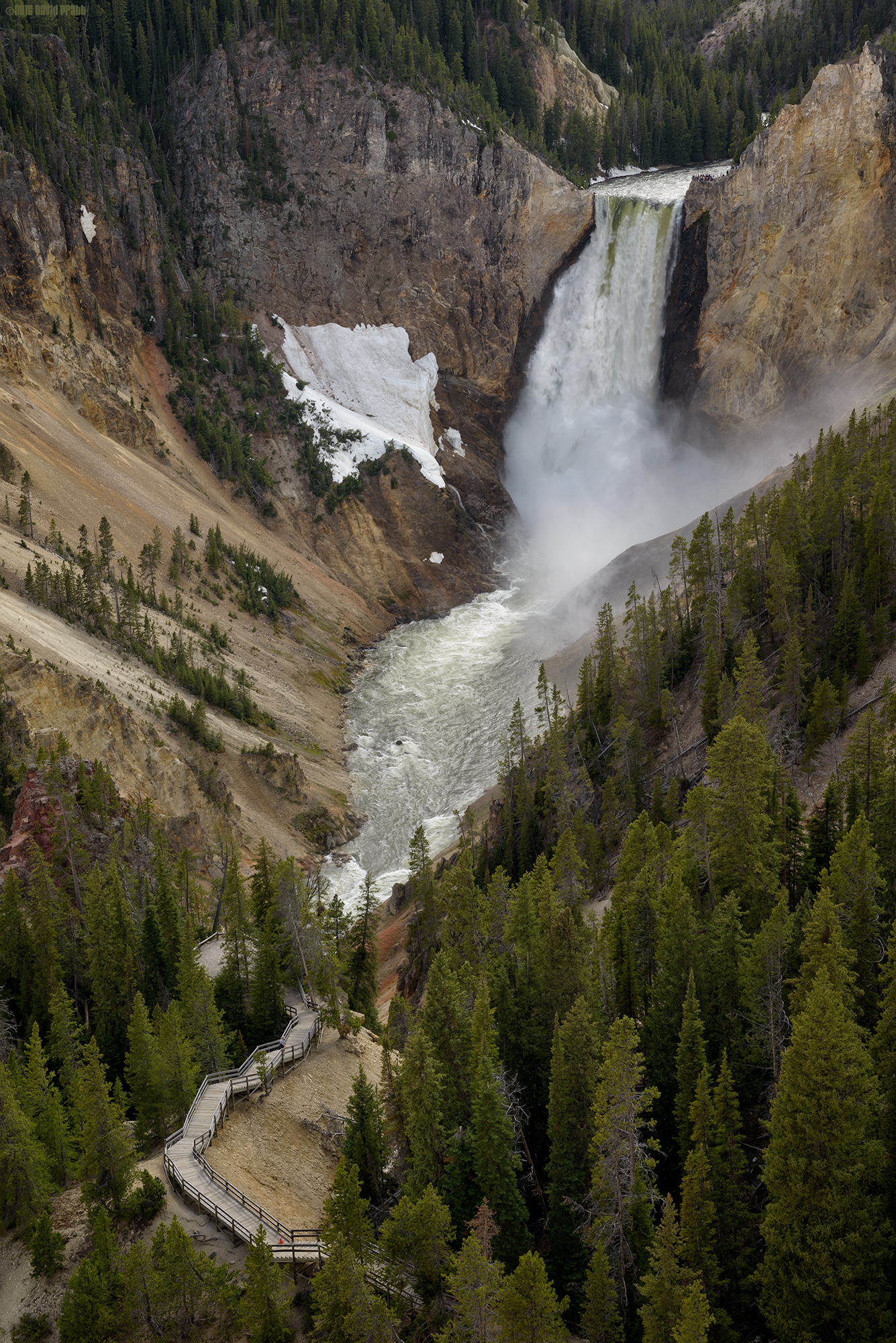 It's A Long Way Down