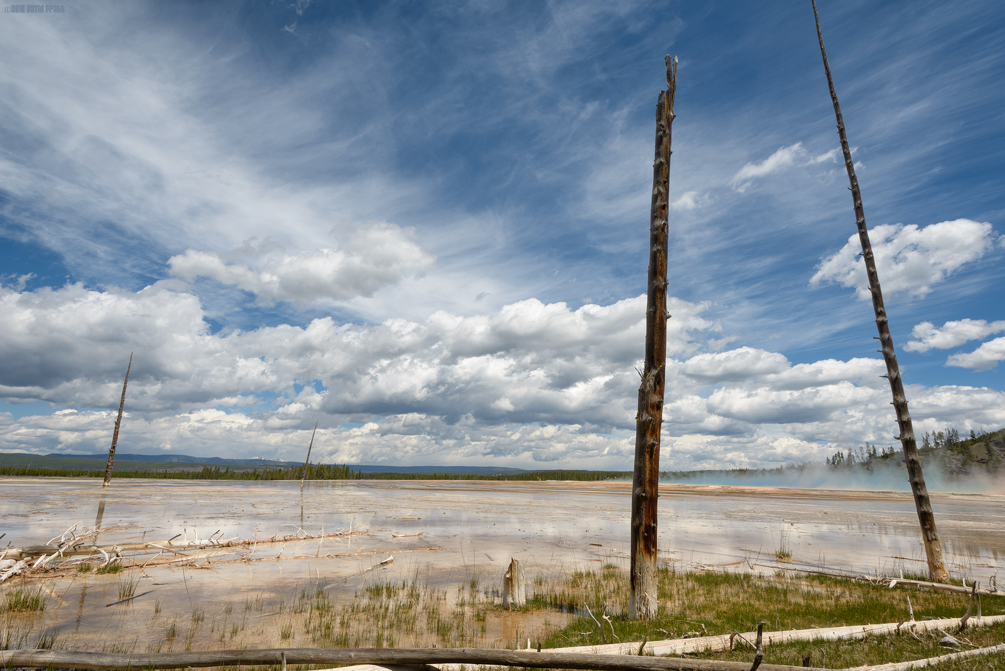 Reaching For The Sky