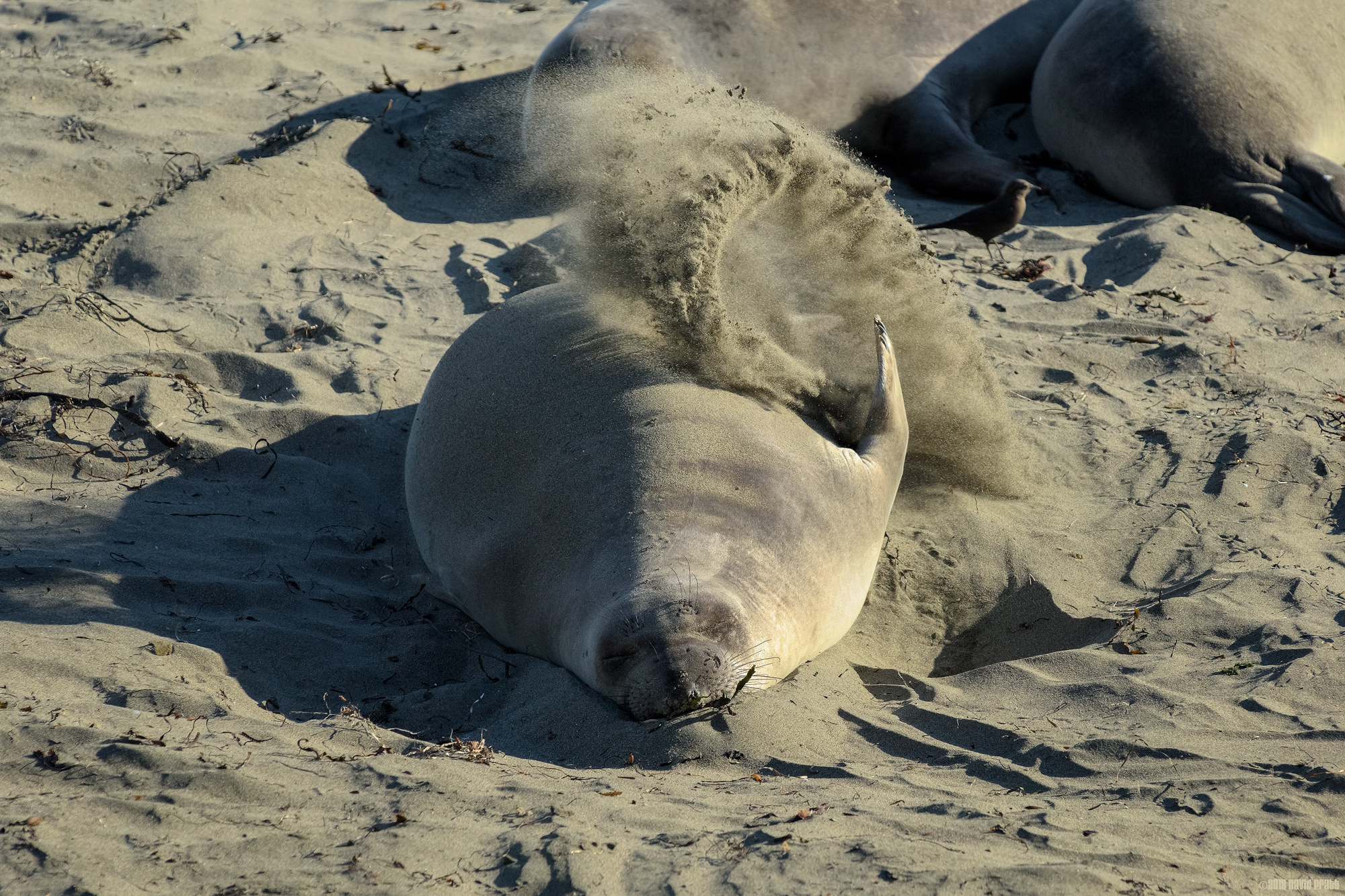 Just A Little More Sand