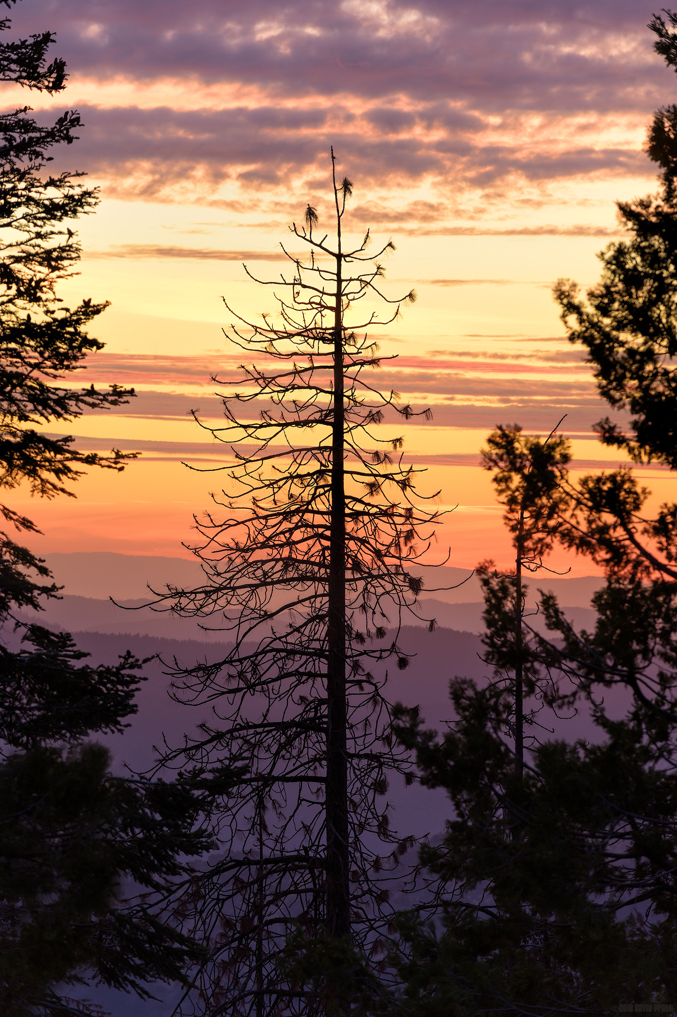 Daylight Loses To The Evening Again