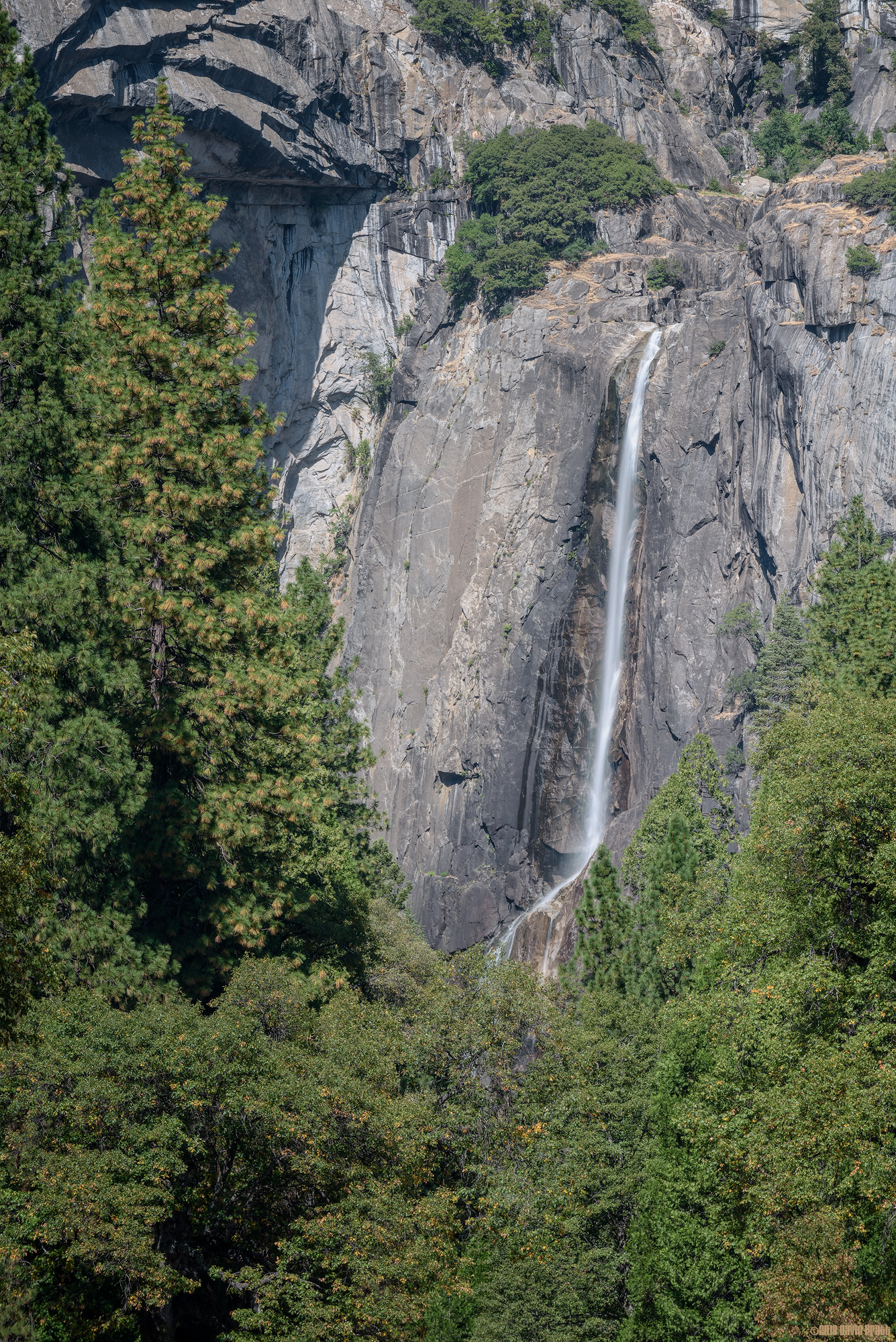 Lower Yosemite Falls