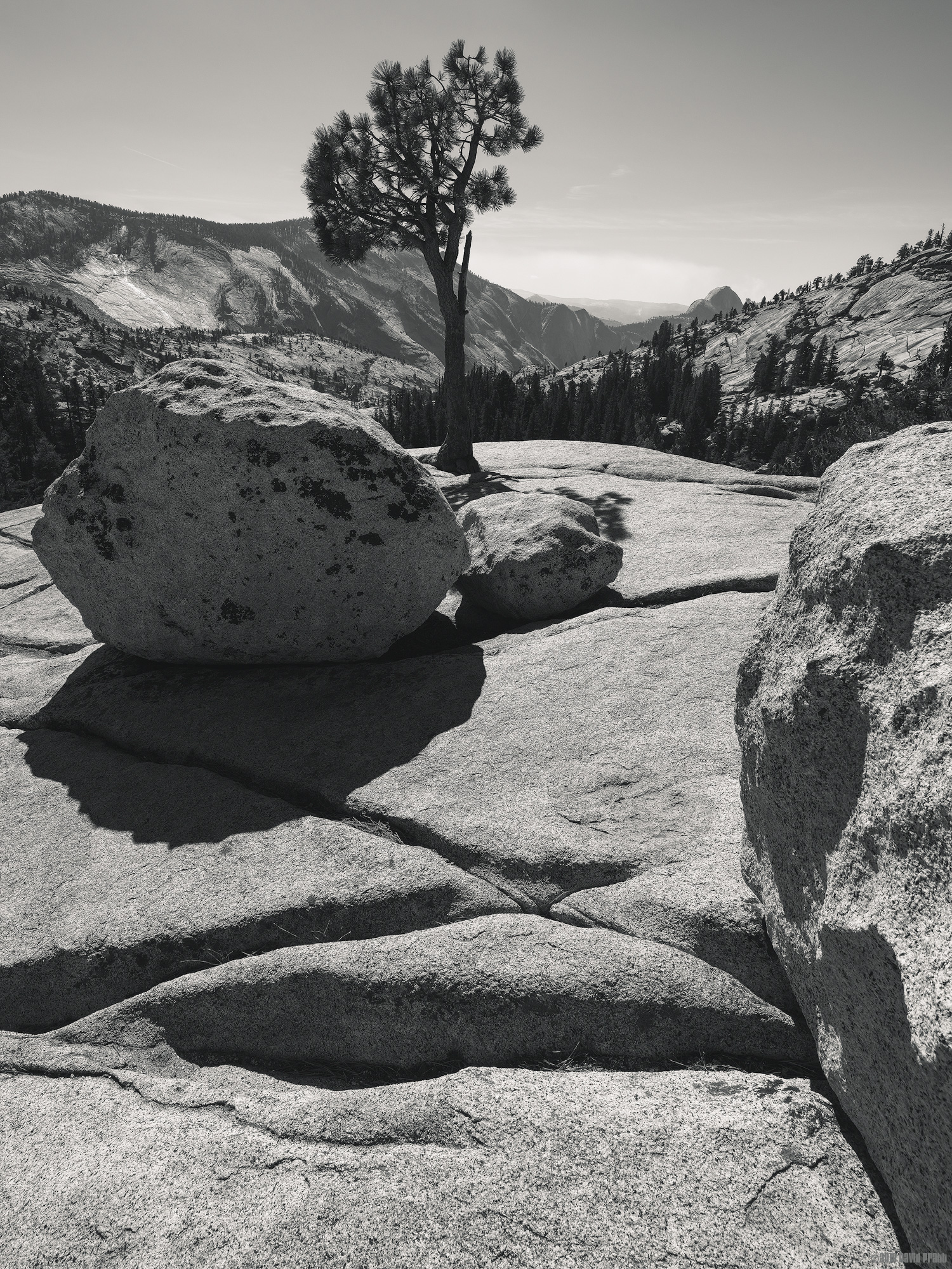 Half Dome In The Distance