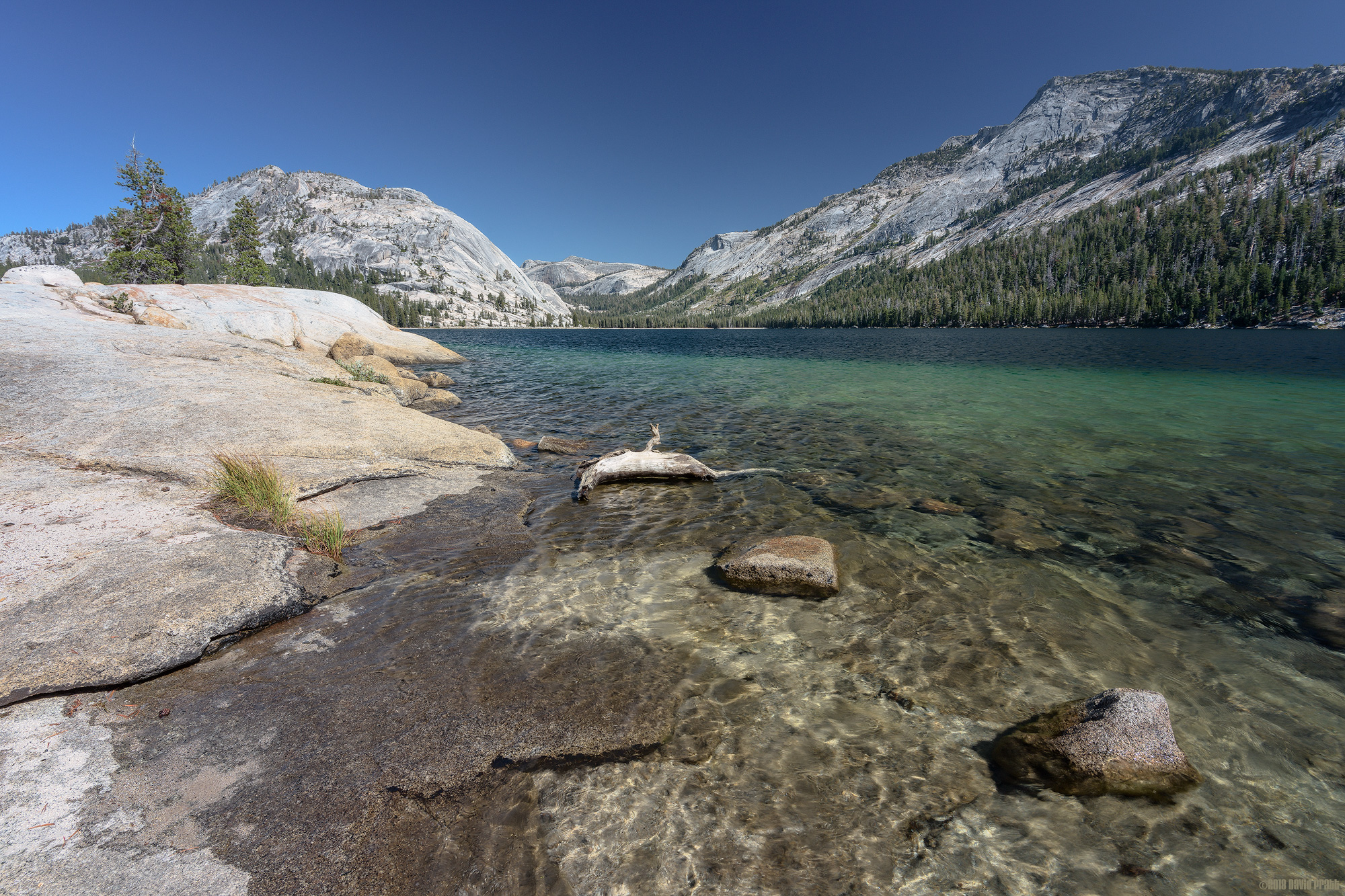 Tenaya Lake