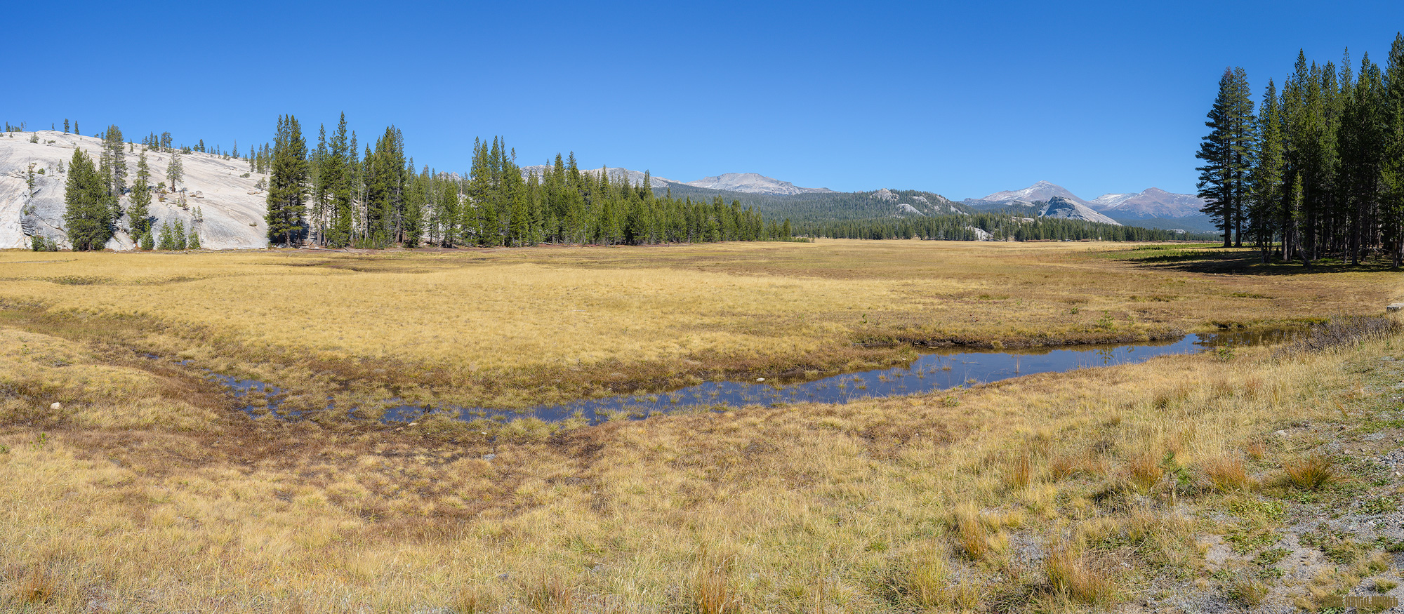 Tuolumne Meadows