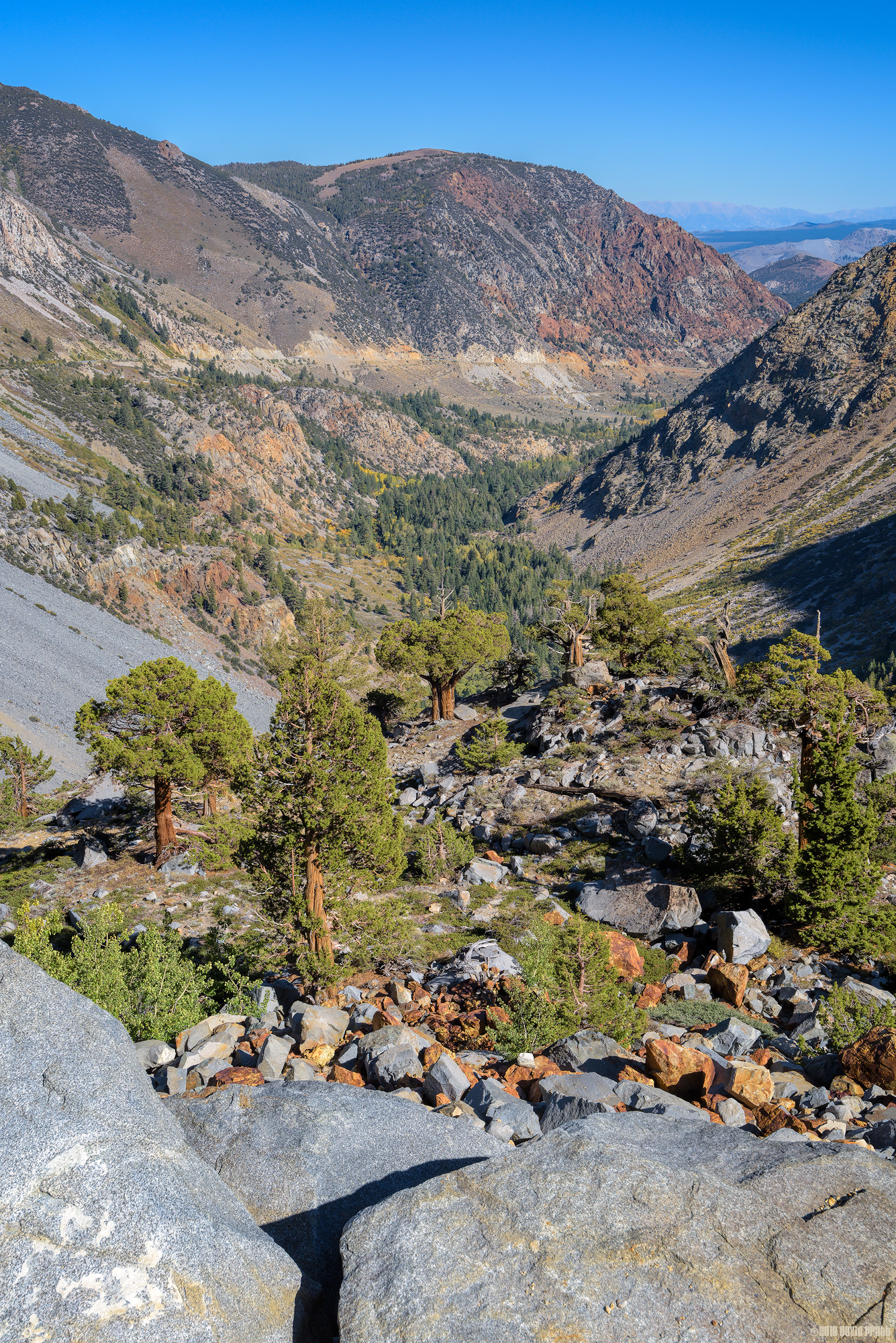 Tioga Pass Road Valley View