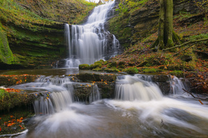 Scaleber Force