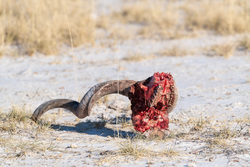 A Grisly End