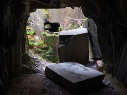 From One Tunnel To Another