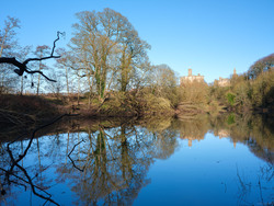 Banks Stitched With Trees