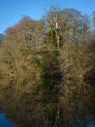 Pale Column Rising