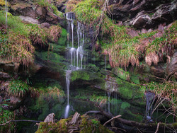 Trickling Down
