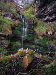 It Broke Where It Fell