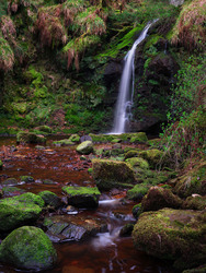 Spilling Down Moss Dark Stone
