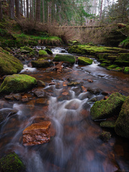 Only A Few Stones Without Moss