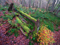 As Autumn Draws To A Close