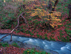 Colours Of Pegwhistle Burn
