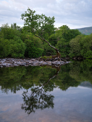 The Other Side Of The Lone Tree
